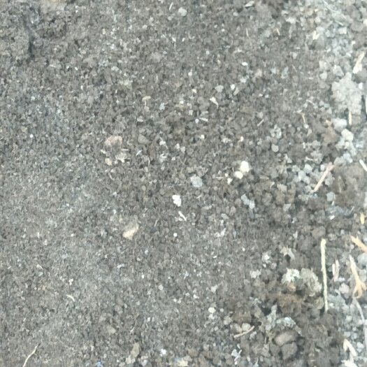 育苗基质！天然腐质土，无化肥农污染，无异味，肥效好，种花草