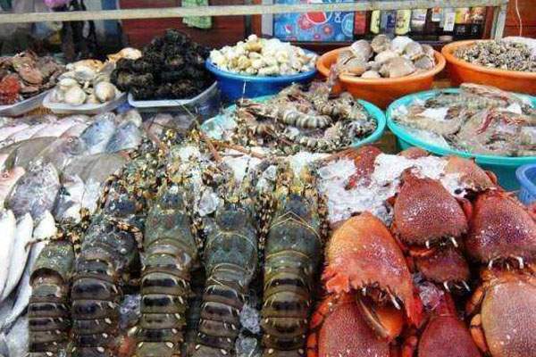 2020年全国海鲜批发市场价格行情分析及趋势预测-松松肥园艺