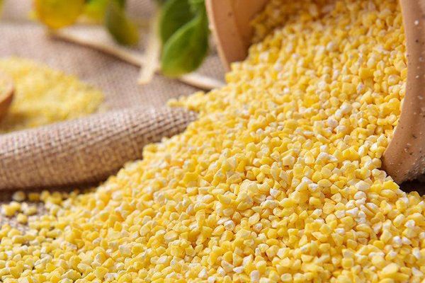 蛟河苞米价格行情分析 玉米批发价格走势预测-松松肥园艺土