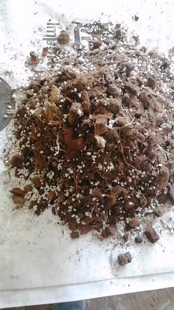 山东寿光供应栽培基质营养土