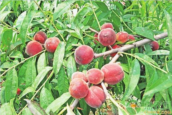 <span style='color:#FF8001' title=