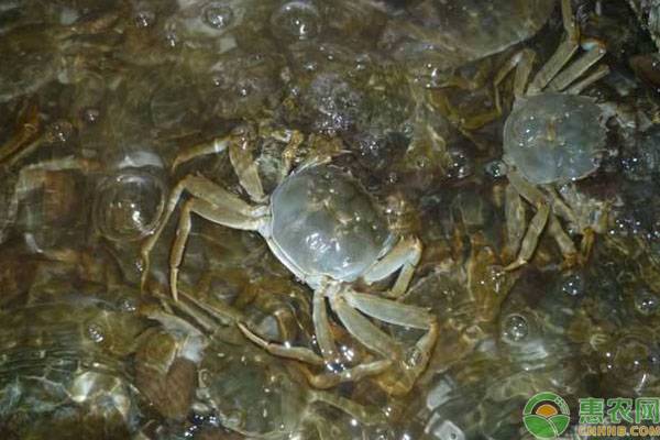 2019河<span style='color:#FF8001' title=