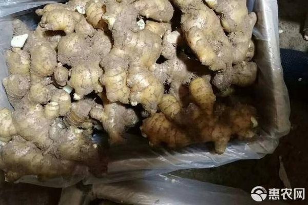 老姜价格一斤多少钱？