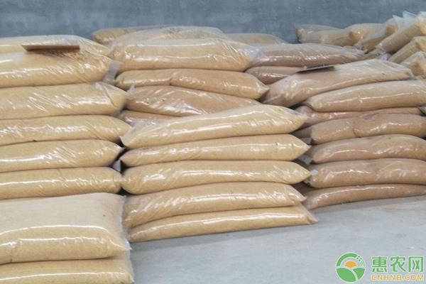 元旦将至，豆粕能否反弹上涨？