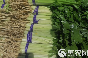 中国毛芹价格大全:各产区行情及选购指南-松松肥园艺土 中国毛芹价格大全:各产区行情及选购指南-松松肥园艺土
