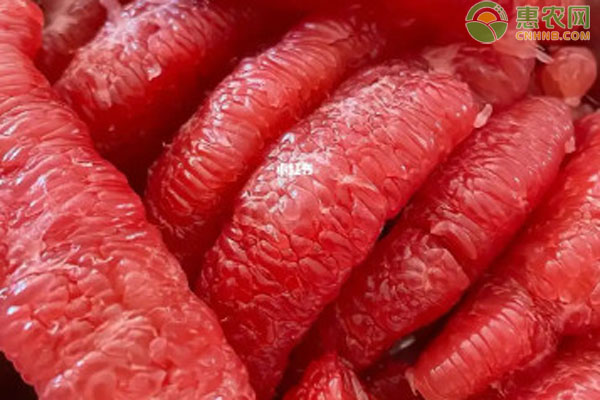 三红柚营养价值与价格解析，产地特点全揭秘-松松肥园艺土