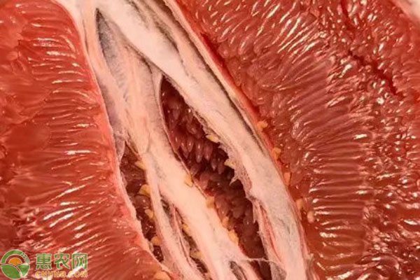 三红柚营养价值与价格解析，产地特点全揭秘-松松肥园艺土