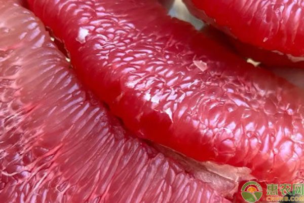 三红柚营养价值与价格解析，产地特点全揭秘-松松肥园艺土