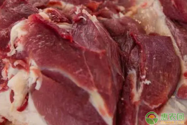 2024年4月各地猪肉价格波动与市场趋势分析-松松肥园艺土