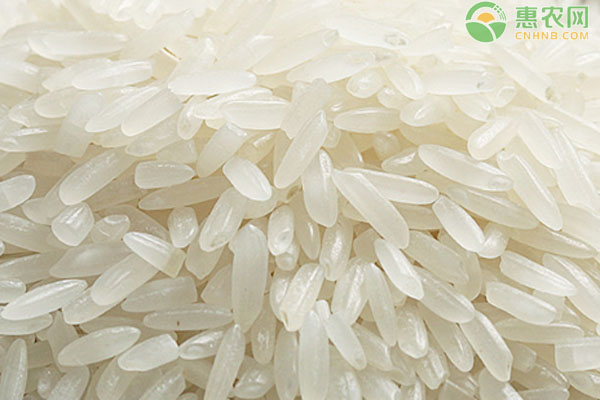 大米价格区域差异及品种选购解析-松松肥园艺土