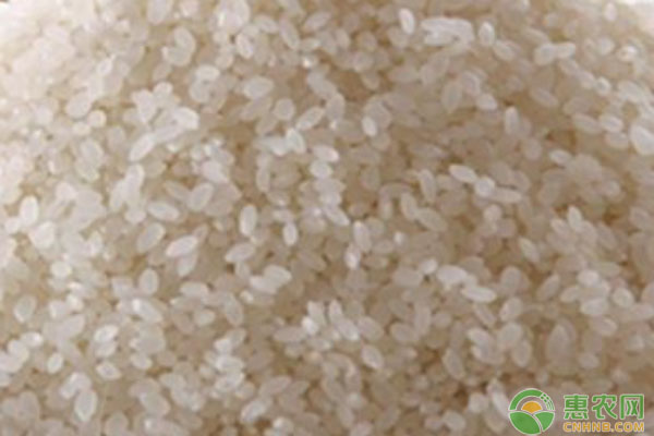 大米价格区域差异及品种选购解析-松松肥园艺土