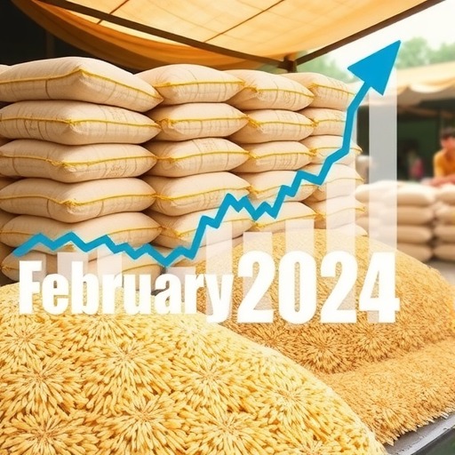 大米价格区域差异及品种选购解析-松松肥园艺土