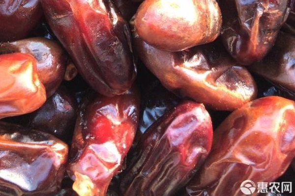 椰枣价格多少钱一斤?与红枣的区别解析-松松肥园艺土 椰枣价格多少钱一斤?与红枣的区别解析-松松肥园艺土
