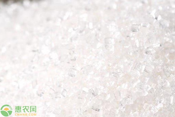 散装白糖价格一览 详解储存注意事项-松松肥园艺土