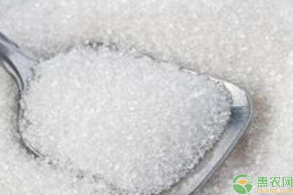 散装白糖价格一览 详解储存注意事项-松松肥园艺土