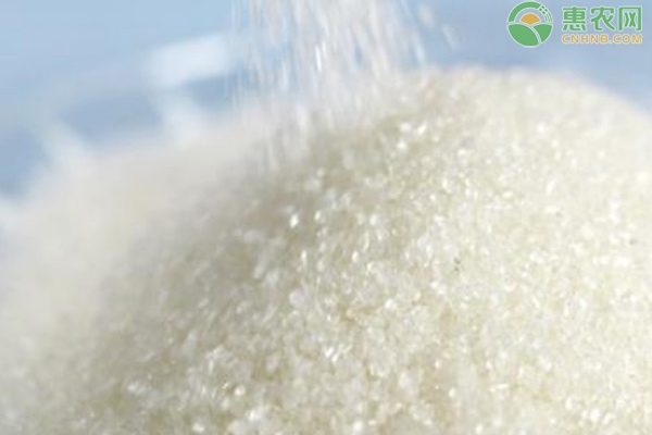 散装白糖价格一览 详解储存注意事项-松松肥园艺土