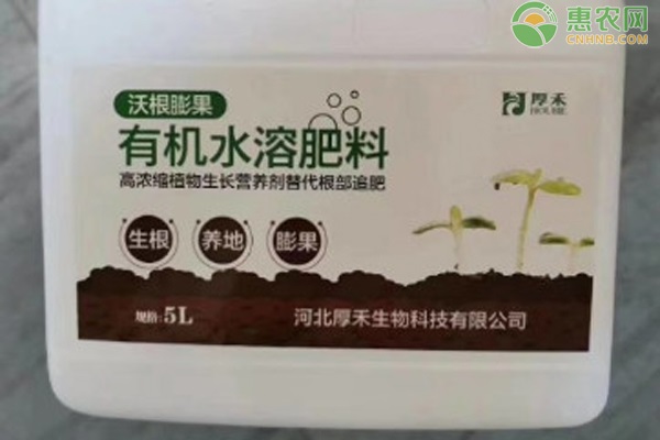 有机水溶肥料价格地区差异及优势解析-松松肥园艺土