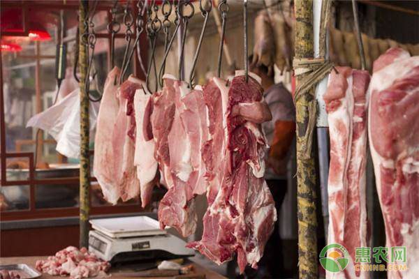 7月猪肉价格最新走势:各地行情分析及未来预测-松松肥园艺土 7月猪肉价格最新走势:各地行情分析及未来预测-松松肥园艺土