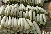 羊角蜜甜瓜多少钱一斤? 羊角蜜甜瓜多少钱一斤?