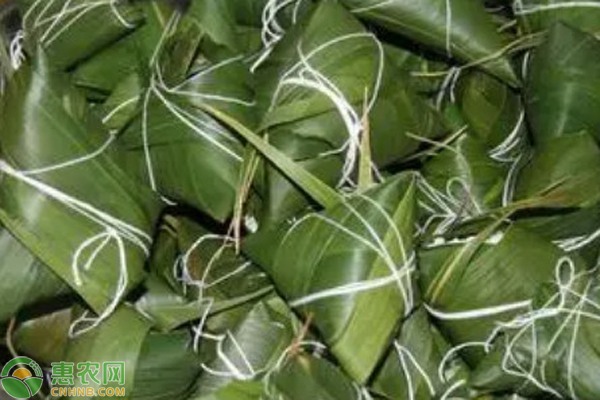 2023粽叶价格多少钱一斤？