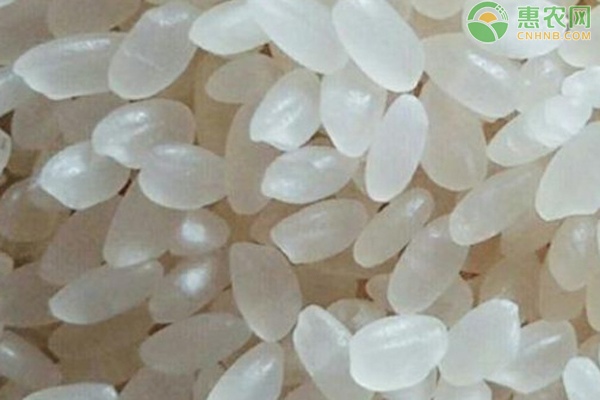 4月大米价格多少钱一斤？