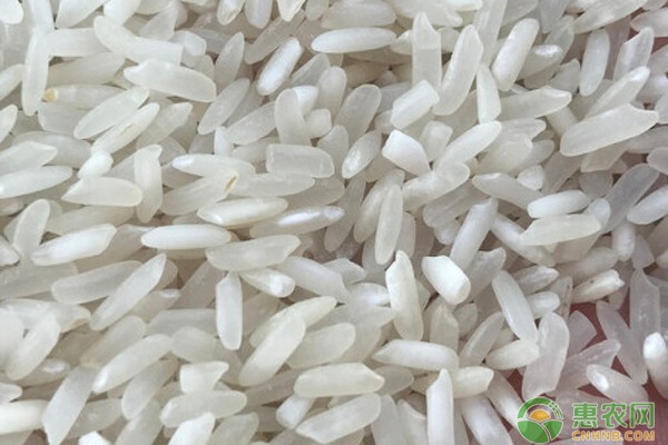 4月大米价格多少钱一斤？