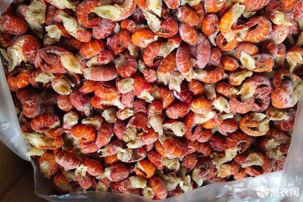 2023小龙虾尾多少钱一斤？