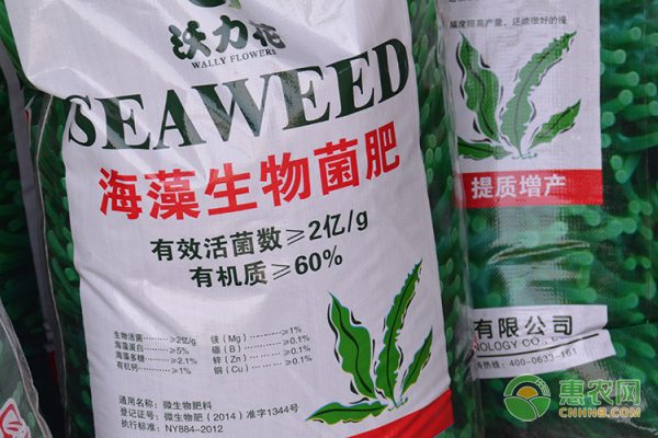 氮磷钾化肥价格行情最新价及地区差异分析-松松肥园艺土