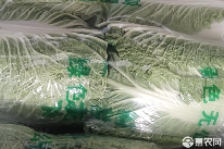 1月白菜价格查询及长期保存方法-松松肥园艺土