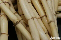 芦根价格及选购指南：产地差异与药用价值-松松肥园艺土