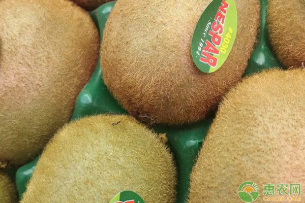 2022年猕猴桃价格多少钱一斤？