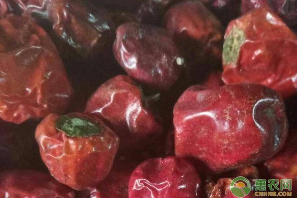 灯笼椒价格多少钱一斤？