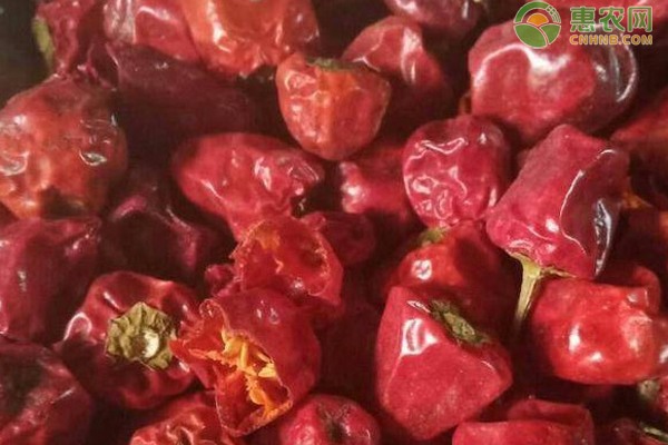 灯笼椒价格多少钱一斤？