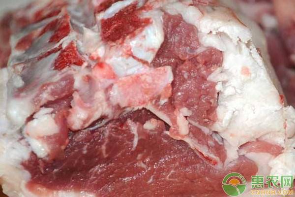 秋季羊肉价格多少钱一斤？