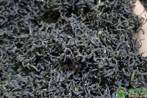 黑茶多少钱一斤? 黑茶多少钱一斤?