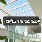 国内玉米价格面临回调 国内玉米价格面临回调