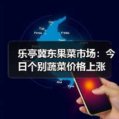乐亭冀东果菜市场：今日个别蔬菜价格上涨