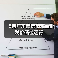 5月广东清远市鸡蛋批发价低位运行 5月广东清远市鸡蛋批发价低位运行