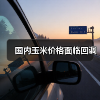 国内玉米价格面临回调 国内玉米价格面临回调