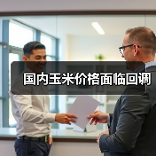 国内玉米价格面临回调 国内玉米价格面临回调