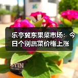 乐亭冀东果菜市场：今日个别蔬菜价格上涨