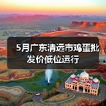 5月广东清远市鸡蛋批发价低位运行 5月广东清远市鸡蛋批发价低位运行