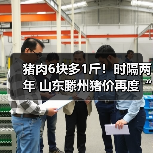 滕州猪肉价格连跌六周 创近两年新低-松松肥园艺土 滕州猪肉价格连跌六周 创近两年新低-松松肥园艺土