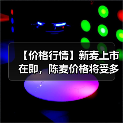 【价格行情】新麦上市在即，陈麦价格将受多大...
