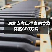 河北省今年供京蔬菜将突破600万吨(图2) 河北省今年供京蔬菜将突破600万吨(图2)