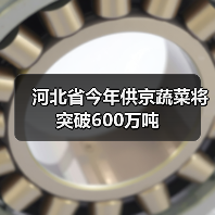 河北省今年供京蔬菜将突破600万吨(图4) 河北省今年供京蔬菜将突破600万吨(图4)