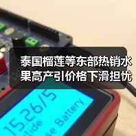 泰国榴莲等东部热销水果高产引价格下滑担忧(图4) 泰国榴莲等东部热销水果高产引价格下滑担忧(图4)
