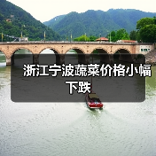 浙江宁波蔬菜价格小幅下跌（图3）