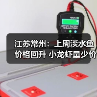 江苏常州：上周淡水鱼价格回升 小龙虾量少价...（图2）