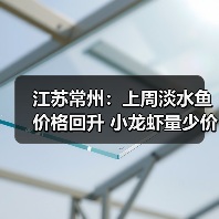 江苏常州：上周淡水鱼价格回升 小龙虾量少价...（图4）